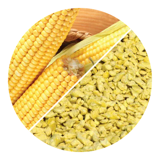 Corn cobs and corn cat litter granules